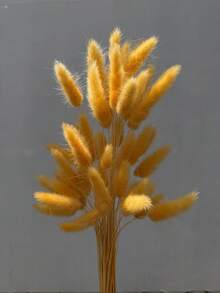 60支-16.5英吋紅色人造兔尾草，居家裝飾人造兔尾草莖，適用於波西米亞風格花藝布置、DIY手工藝、居家廚房與婚禮裝飾、聖誕裝飾、聖誕感恩節裝飾、DIY花環裝飾 - 橙色兔尾草1 - 查看 4