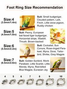 2pcs Parrot Flying Ropes | Retractable Ropes For Small Bird Flight Training | Suitable For Parrots And Other Birds | Anklet Rings Need To Be Selected Separately | You're So Clever Should Figuring Out To Install It Invertedly - A+B - View 12
