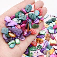 100g Colorful Asymmetric Seashell Pieces, Natural Shell Confetti &Craft Supplies For DIY Art, Resin Jewelry, Vase Filling, Wedding Decor, Beach Themed Party - Shell - View 2