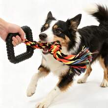 1 pieza Juguete de pulsera para perro negro con anillos de diamantes de colores mixtos, pulsera de cuerda de algodón roja amarilla de colores con nudos, juguete interactivo duradero para masticar, dentición y tironeo para aliviar el aburrimiento de los perros - Multicolor - Ver 8