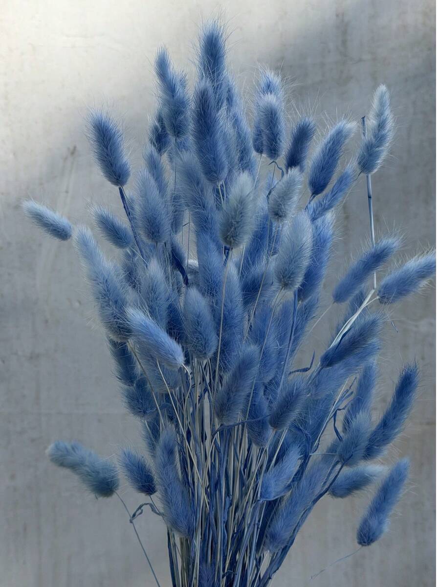 60pcs-16.5 Inch Red Artificial Rabbit Tail Grass, Home Decor Artificial Rabbit Tail Grass Stems, Suitable For Bohemian Style Flower Arrangement, DIY Crafts, Home Kitchen And Wedding Decoration, Christmas Decoration, Christmas Thanksgiving Decoration, DIY Wreath Decoration - Light Sapphire Blue Rabbit's Tail Grass 2 - View 1