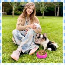 Wholesale Practical Plastic Pet Bowls, Candy Color Round Single Bowl, Cat & Dog Food Dishes, Pet Feeding Utensils - Random Color - View 6