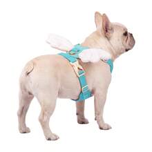 中小型犬天使之翼胸背帶，心形翅膀胸背帶，透氣易穿戶外散步寵物胸背帶（適用於法鬥、柴犬、巴哥、貴賓犬、比熊犬等），萬聖節、聖誕節可愛狗狗胸背帶 - 彩色 - 查看 6