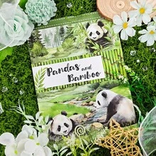 20Sheets Large Size Waterproof Dual-Material Beautiful Lady Washi PET Sticker Book Panda Stickers Set For Scrapbooking Junk Journal Planner - 20 Sheets Large Size - View 2
