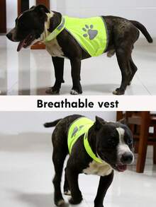 Custom Dog Safety Vest, Breathable And Comfortable Fabric, Reflective Dog Harness, Reflective Design Protects Dog's Safety At Night, Lightweight And Breathable Material, Hook And Loop Design For Easy On And Off, Suitable For Summer And Outdoor Scenarios, Multiple Sizes Fit Various Dog Body Types - Multicolor - View 5