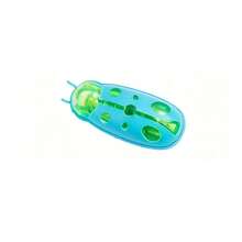 1pc Automatic Interactive Cat Toy, Attracts Cat's Interest - Multicolor - View 11