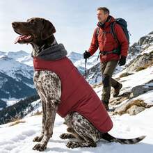 Metglad Medium & Large Dog Winter Coat, Warm Vest With Wool Lining - Pet Clothing, Cold Weather Dog Snow Jacket, Windproof Winter Overcoat - Red - View 4