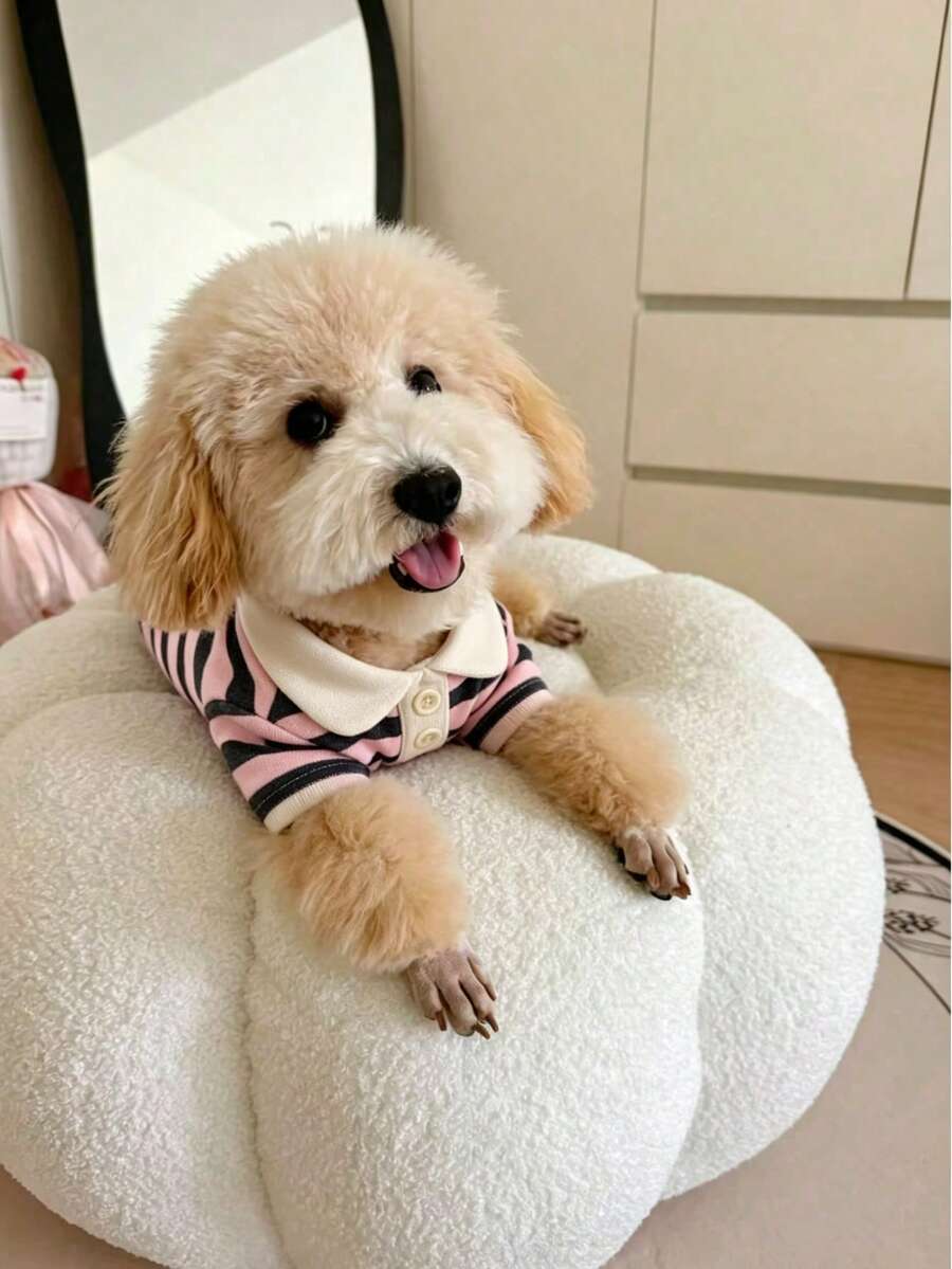 1pc Dog T-Shirt Simple Striped Dog T-Shirt Shirt, Summer Breathable Striped Shirt Pet Clothes Dog Apparel Striped Clothes Cat Universal Style Suitable For Schnauzer, Maltese, Teddy, Yorkshire, Bichon, Pomeranian, Poodle And Other Small Dog Clothing T-Shirt, Pet Dog Super Cool T-Shirt Handsome Polo Shirt