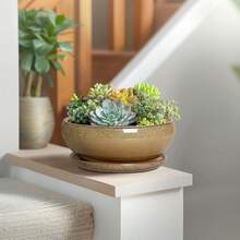 8-Inch Round, Shallow Ceramic Succulent Pot With Drainage Hole And Saucer. Suitable For Indoor And Outdoor Use. Home Decor... - Mottled Coffee - View 6