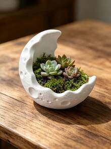 1pc Vintage Crescent Moon Resin Planter, Matte Texture, Suitable For B&B, Tea Room, Desktop Greenery Decor, Succulent Planting, Moss Micro Landscape, Potted Plants, Landscape Flower Pot, Applicable To Yard, Indoor Windowsill, Desk, Office Desk - Crater Moon Vase - View 3