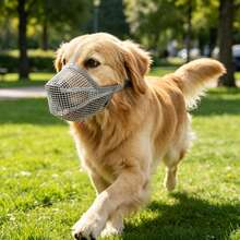 (1pc) Breathable Mesh Dog Muzzle For Long Snout Breeds, Adjustable Dog Mouth Cover, Anti-Bite Anti-Scavenge Anti-Bark Muzzle Allows Drinking & Panting For Labrador, Golden Retriever, Border Collie Medium Large Dogs - Grey - View 7