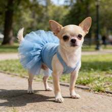 1pc Pet Dog Dress, Elegant Ballet Tulle Skirt Party Dress, Romantic Princess Dress, Suitable For Small Dogs & Cats, Lightweight For Spring/Summer - Multicolor - View 8