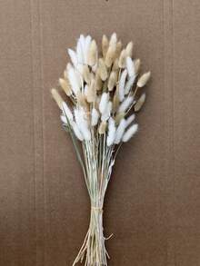 60pcs-16.5 Inch Red Artificial Rabbit Tail Grass, Artificial Rabbit Tail Grass Stems For Home Decor, Suitable For Bohemian Style Floral Arrangements, DIY Crafts, Home Kitchen And Wedding Decor, Christmas Decor, Christmas Thanksgiving Decor, DIY Wreath Decor - White Brown Rabbit Tail Grass - View 5