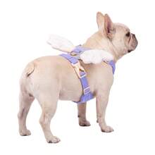 中小型犬天使之翼胸背帶，心形翅膀胸背帶，透氣易穿戶外散步寵物胸背帶（適用於法鬥、柴犬、巴哥、貴賓犬、比熊犬等），萬聖節、聖誕節可愛狗狗胸背帶 - 彩色 - 查看 12