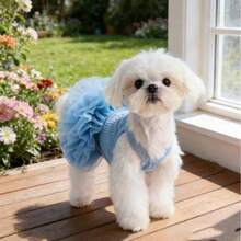 1pc Pet Dog Dress, Elegant Ballet Tulle Skirt Party Dress, Romantic Princess Dress, Suitable For Small Dogs & Cats, Lightweight For Spring/Summer - Multicolor - View 6