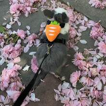 Escape‑Proof Nylon Bunny Harness With Leash, Cute Plush Carrot Decoration Adjustable Chest Strap Walking Harness For Rabbit Guinea Pig Small Pet - Multicolor - View 8