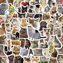 100 pièces Ensemble d'autocollants d'expression de chat amusants – Autocollants en vinyle imperméables mignons, convenant pour téléphone, ordinateur portable, scrapbooking, décoration DIY - Multicolore - Voir 8