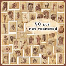50pcs Vintage Human Anatomy Structure Notes Creative Kraft Paper Style Niche Medical Decorative Illustration Fridge Stickers - 50 Retro Human Anatomy Notes - View 11