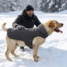 Metglad 中大型犬冬季外套，带羊毛衬里的保暖背心 - 宠物服装，寒冷天气狗狗雪地夹克，防风冬季大衣 - 深灰色 - 查看 3