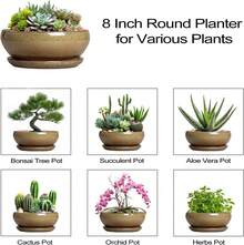 8-Inch Round, Shallow Ceramic Succulent Pot With Drainage Hole And Saucer. Suitable For Indoor And Outdoor Use. Home Decor... - Mottled Coffee - View 7
