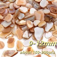 100g Colorful Asymmetric Seashell Pieces, Natural Shell Confetti &Craft Supplies For DIY Art, Resin Jewelry, Vase Filling, Wedding Decor, Beach Themed Party - Shell - View 17