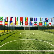 30/48/50 Pcs/Set National Flag Banner World Country String Flags Summer Sports Games Scene Decoration International Bunting Banners For Sports Events Clubs Bars Parties Holiday Celebrations - National Flags - View 7