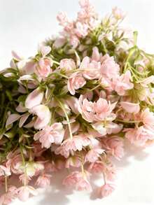 1/20pcs Mini Pink Artificial Flowers, 10cm/4inch Realistic Plastic Floral, Suitable For DIY Crafts, Wedding Party, Miniature House, Sculpture And Car Decoration; Holiday Tabletop Centerpiece Decor, Gift Wrapping, Mini Garden, Patio, Balcony And Outdoor Garden Decoration - Mini Flowers - View 8