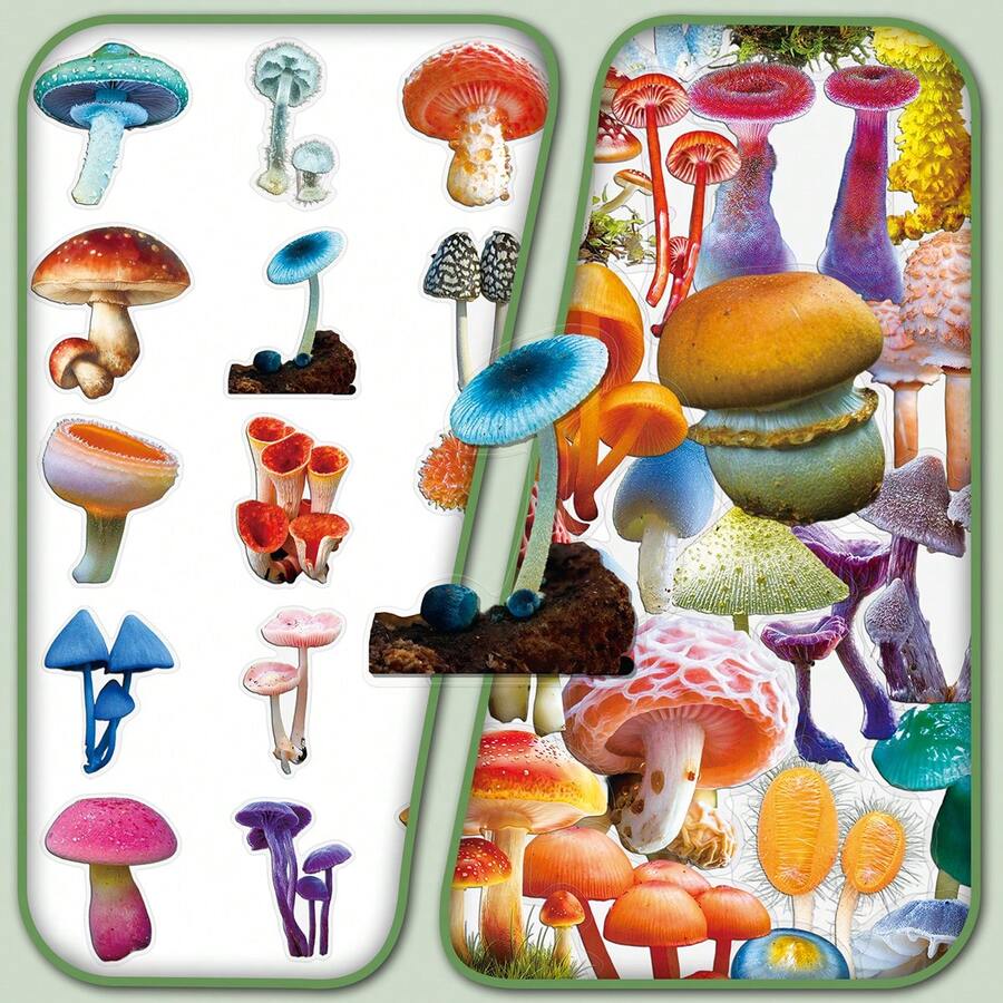 50pcs Transparent Cartoon Mushroom Forest Creative Fungi Illustration Plant Personalized Decorative Notebook Fridge Stickers - 50 Mushrooms - View 1