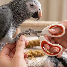 1 Set Pet Bird Nail Trimming Tool Kit, Precision Nail Clippers, Grinder And Beak Grinder, Bird Care Tools, Gentle Trimming Accessories, Suitable For Parrots And Small Birds, Stress-Free Nail Care - Multicolor - View 6