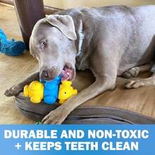 Dog Toys Dog Puzzle Toys For Smart Dogs, Interactive, Boredom Busters, Mentally Stimulating, Cognitive Dog Games, Hard Puzzle, Difficult Toys To Keep Them Busy, Puppy Puzzle Toys, Small, Medium, Large Breeds Dog Toys - 4 Pieces - View 1
