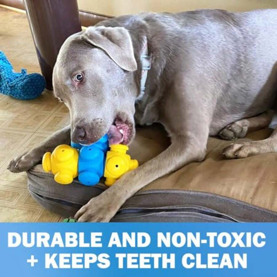 Dog Toys Dog Puzzle Toys For Smart Dogs, Interactive, Boredom Busters, Mentally Stimulating, Cognitive Dog Games, Hard Puzzle, Difficult Toys To Keep Them Busy, Puppy Puzzle Toys, Small, Medium, Large Breeds Dog Toys - 4 Pieces - View 1