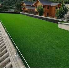 1pc High Quality Artificial Grass, Plastic Material, Reinforced And Thick, Easy To Clean, Suitable For Indoor/Outdoor Garden, Playground Decoration, Pet-Friendly Environment, Balcony And Yard As Artificial Turf. - Artificial Turf - View 17