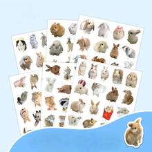 100pcs Realistic Little Rabbit Stickers, Carrot-Eating Rabbit Stickers, Realistic Animal Stickers, Cute Fresh Sticker Design, Life Decoration Stickers, Easy-To-Apply Stickers Suitable For Tablet And Laptop Decoration School Supplies - 1 Set - View 5
