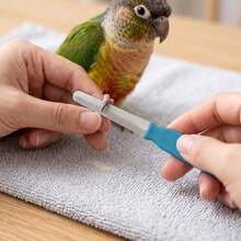 1 Set Pet Bird Nail Trimming Tool Kit, Precision Nail Clippers, Grinder And Beak Grinder, Bird Care Tools, Gentle Trimming Accessories, Suitable For Parrots And Small Birds, Stress-Free Nail Care - Multicolor - View 5