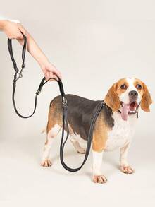 1PC Double-Layer Foam Handle Anti-Chafing 2-In-1 Dog Leash, Multifunctional Crossbody Reflective Waist-Tie Running Pet Leash, Suitable For Medium And Small Pets Outdoor Use - Multicolor - View 4