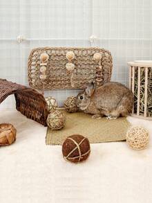 9 piezas de juguetes de actividad para masticar y desgastar para animales pequeños, incluyendo pelota de conejo, conejo, hámster, juguetes para masticar para cobaya, regalo de Navidad, entrenamiento, Día de San Valentín y regalo para animales pequeños - Ver 9