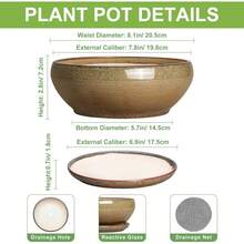 Maceta de cerámica para suculentas de 8 pulgadas, redonda y poco profunda, con orificio de drenaje y platillo. Apta para interiores y exteriores. Decoración de... - Gris- blanco - Ver 2