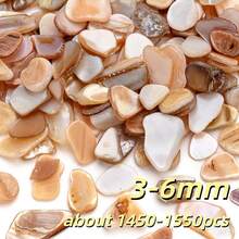 100g Colorful Asymmetric Seashell Pieces, Natural Shell Confetti &Craft Supplies For DIY Art, Resin Jewelry, Vase Filling, Wedding Decor, Beach Themed Party - Shell - View 10