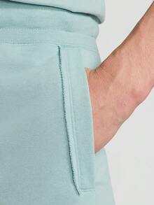 Nike 正品運動休閒男款透氣耐穿短褲 AR2376-309 - AR2376-309 - 查看 4