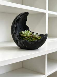 1pc Vintage Crescent Moon Resin Planter, Matte Texture, Suitable For B&B, Tea Room, Desktop Greenery Decor, Succulent Planting, Moss Micro Landscape, Potted Plants, Landscape Flower Pot, Applicable To Yard, Indoor Windowsill, Desk, Office Desk - Crater Moon Vase - View 5