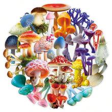 50pcs Transparent Cartoon Mushroom Forest Creative Fungi Illustration Plant Personalized Decorative Notebook Fridge Stickers - 50 Mushrooms - View 5