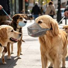 (1pc) Breathable Mesh Dog Muzzle For Long Snout Breeds, Adjustable Dog Mouth Cover, Anti-Bite Anti-Scavenge Anti-Bark Muzzle Allows Drinking & Panting For Labrador, Golden Retriever, Border Collie Medium Large Dogs - Grey - View 12