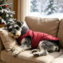 Metglad Medium & Large Dog Winter Coat, Warm Vest With Wool Lining - Pet Clothing, Cold Weather Dog Snow Jacket, Windproof Winter Overcoat - Red - View 3