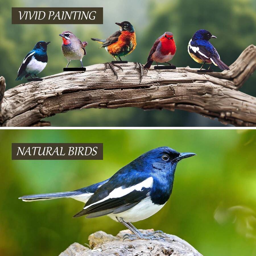 5pcs Realistic Colorful Bird Garden Decor, Outdoor Yard Balcony Landscaping, Colorful Lifelike Bird Iron Art Ornament - Colorful Birds - View 1