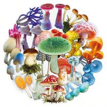 50pcs Transparent Cartoon Mushroom Forest Creative Fungi Illustration Plant Personalized Decorative Notebook Fridge Stickers - 50 Mushrooms - View 6