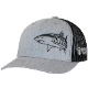 Tiburón tigre - H. Gris/Negro/Negro