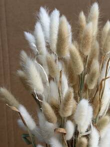 60pcs-16.5 Inch Red Artificial Rabbit Tail Grass, Artificial Rabbit Tail Grass Stems For Home Decor, Suitable For Bohemian Style Floral Arrangements, DIY Crafts, Home Kitchen And Wedding Decor, Christmas Decor, Christmas Thanksgiving Decor, DIY Wreath Decor - White Brown Rabbit Tail Grass - View 4