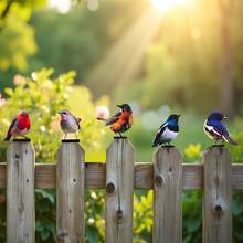 5pcs Realistic Colorful Bird Garden Decor, Outdoor Yard Balcony Landscaping, Colorful Lifelike Bird Iron Art Ornament - Colorful Birds - View 3