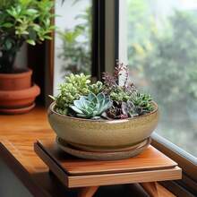Maceta de cerámica para suculentas de 8 pulgadas, redonda y poco profunda, con orificio de drenaje y platillo. Apta para interiores y exteriores. Decoración de... - Gris- blanco - Ver 3