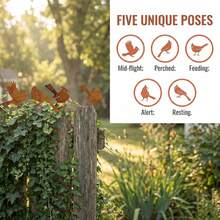 5pcs Vintage Distressed Metal Bird Decor, Outdoor Fence Cardinal Shaped Garden Yard Ornament - Rusty Bird Five-piece Set - View 5